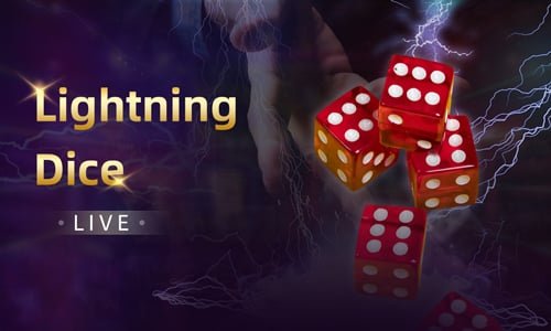 master12 Platform Preview